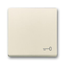 Busch-Jaeger Wippe 2520 TR-82 Symbol Schlüssel