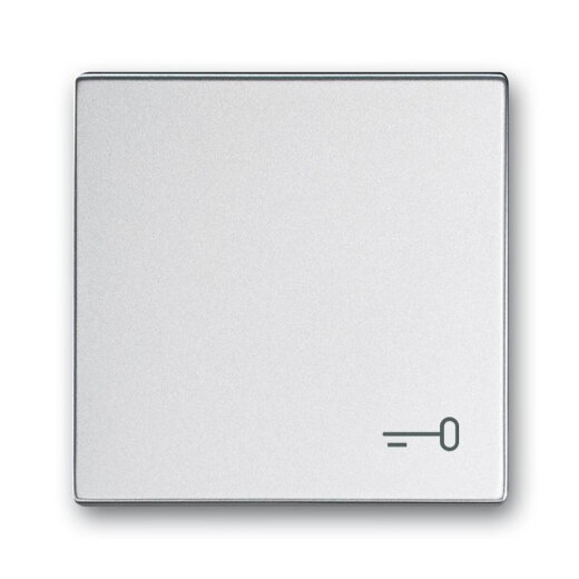 Busch-Jaeger Wippe 2520 TR-83 Symbol Schlüssel