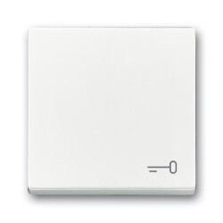 Busch-Jaeger Wippe 2520 TR-84 Symbol Schlüssel