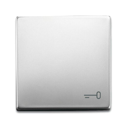 Busch-Jaeger Wippe 2520 TR-866 Symbol Schlüssel