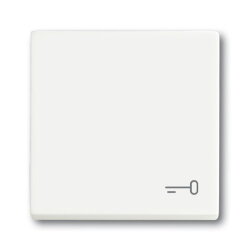 Busch-Jaeger Wippe 2520 TR-884 Symbol Schlüssel