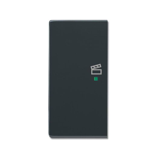 Busch-Jaeger Wippe 6233-21-81 2fach links Symbol Szene