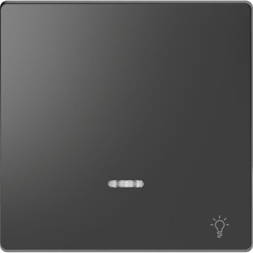 Merten Wippe Kontrollfenster+Kennz. Licht anthrazit