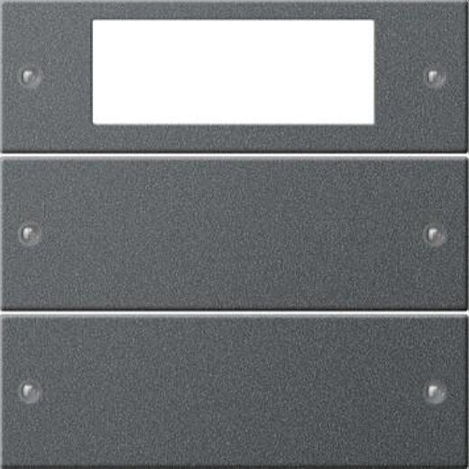 Gira Set 219228 2fach Plus System 55 anthrazit