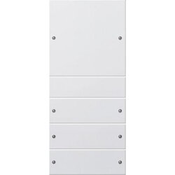 Gira Set 218427 4fach System 55 reinweiss matt