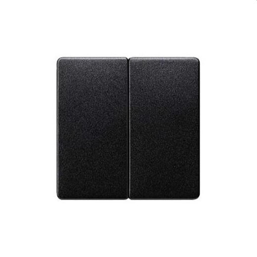 Siemens Serienwippe carbon-metallic 5TG6225