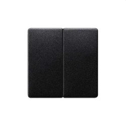 Siemens Serienwippe carbon-metallic 5TG6225