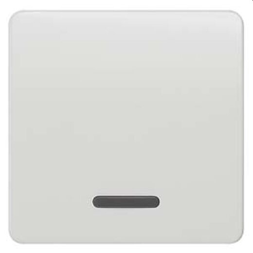 Siemens Wippe mit Fenster titanweiss 5TG7800