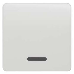 Siemens Wippe mit Fenster titanweiss 5TG7800