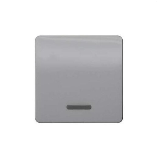 Siemens Wippe mit Fenster silber 5TG7920