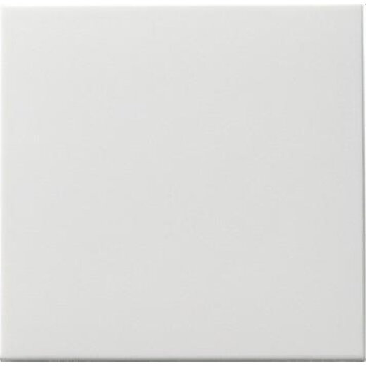 Gira Wippe 091603 Tasts Wechsel System 55 rw