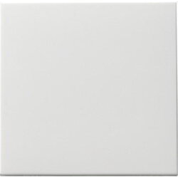 Gira Wippe 091603 Tasts Wechsel System 55 rw