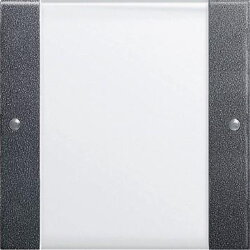 Gira Set 213128 1fach BSF System 55 Klar/ant