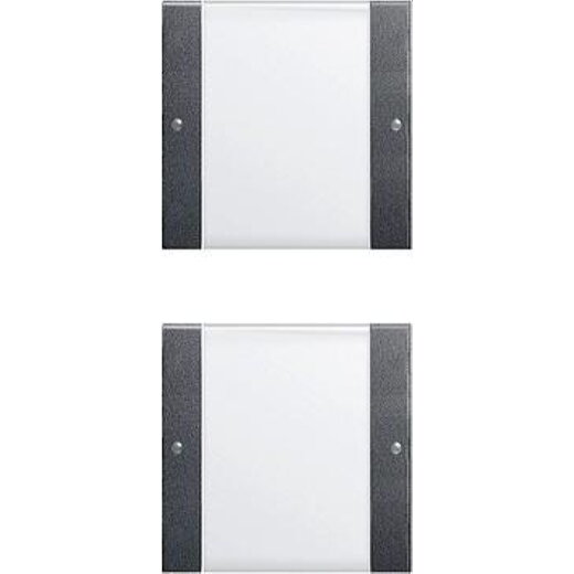 Gira Set 213228 2fach BSF System 55 Klar/ant