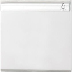 Gira Wippe 029927 BSF System 55 reinweiss matt