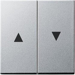 Gira Serienwippe 029426 + Pfeilsymbol System 55 Farbe Alu