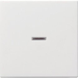 Gira Wippe 029027 Kontrollfenster System 55 rw matt