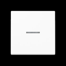 Jung Wippe 1fach mit Lichtleiter, Thermoplast, Serie A,...