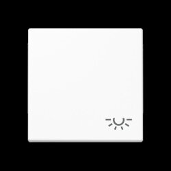 Jung Wippe 1fach, Symbol Licht, Thermoplast, Serie A,...