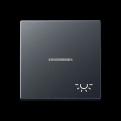 Jung Wippe 1fach mit Lichtleiter, Symbol Licht,...