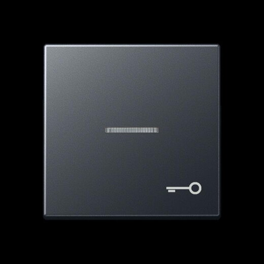 Jung Wippe mit Lichtleiter, Symbol Tür, Thermoplast lackiert, Serie A, anthrazit matt A590BFKO5TANM