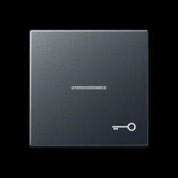 Jung Wippe mit Lichtleiter, Symbol Tür, Thermoplast...