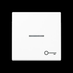 Jung Wippe mit Lichtleiter, Symbol Tür, Thermoplast,...