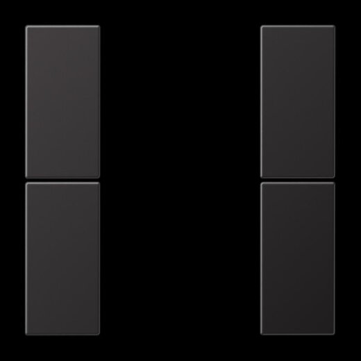 Jung Tastensatz 2fach, F50, Serie LS, dark (lackiertes Aluminium) AL2502TSAD