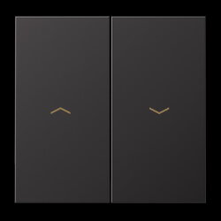 Jung Wippe 2fach, mit Pfeilsymbolen, Aluminium lackiert,...