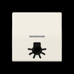 Jung Wippe 1fach mit Lichtleiter, mit abtastbarem Symbol...