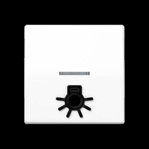 Jung Wippe 1fach mit Lichtleiter, mit abtastbarem Symbol Licht, Duroplast, Serie AS, alpinweiß AS591L1KO5WW