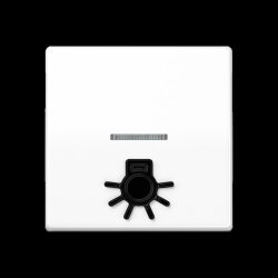 Jung Wippe 1fach mit Lichtleiter, mit abtastbarem Symbol...