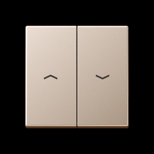 Jung Wippe 2fach, mit Pfeilsymbolen, Serie A, champagner A595PCH