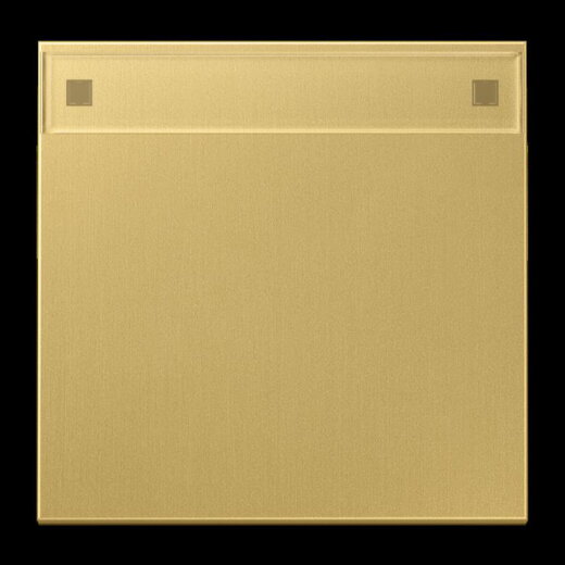 Jung Wippe 1fach, mit Schriftfeld, Messing, Serie LS, Messing classic ME2990NAC