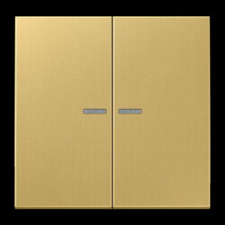 Jung Wippe 2fach mit Lichtleiter, Messing, Serie LS,...