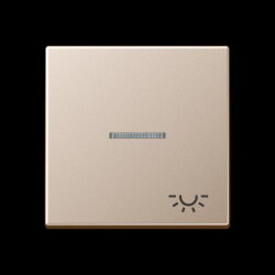 Jung Wippe 1fach mit Lichtleiter, Symbol Licht, Serie A,...