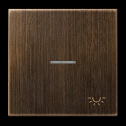 Jung Wippe 1fach mit Lichtleiter, Symbol Licht, Messing,...