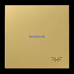 Jung Wippe 1fach mit Lichtleiter, Symbol Licht, Messing,...