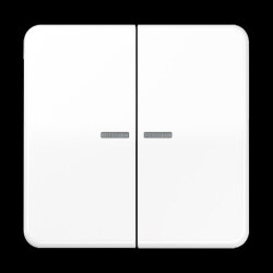 Jung Wippe 2fach mit Lichtleiter, Thermoplast, Serie CD,...