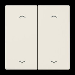 Jung Wippe 2fach, mit 4 Pfeilsymbolen, Duroplast, Serie...