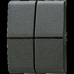 Jung Wippe 2fach, Thermoplast, WG 800, anthrazit 805NT