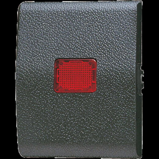 Jung Wippe mit Lichtaustrittsfenster 1fach mit Kalotte, rote Kalotte, Thermoplast, WG 800, anthrazit 800KO