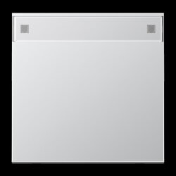 Jung Wippe 1fach, mit Schriftfeld, Serie LS, Aluminium...