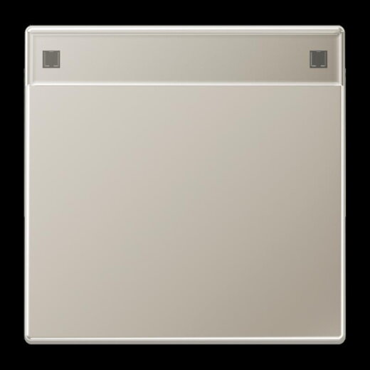 Jung Wippe 1fach, mit Schriftfeld, Serie LS, Edelstahl ES2990NA