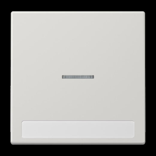 Jung Wippe 1fach mit Lichtleiter, mit Schriftfeld, Duroplast, Serie LS, lichtgrau LS990NAKO5LG