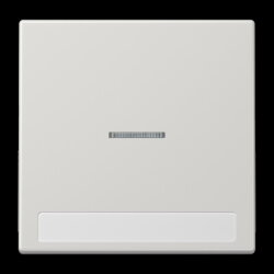 Jung Wippe 1fach mit Lichtleiter, mit Schriftfeld,...