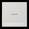 Jung Wippe 1fach mit Lichtleiter, mit Schriftfeld, Duroplast, Serie LS, lichtgrau LS990NAKO5LG