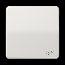 Jung Wippe 1fach, Symbol Licht, Duroplast, Serie CD,...