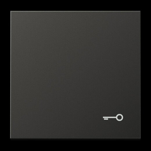 Jung Wippe, Symbol Tür, Aluminium lackiert, Serie LS, anthrazit (lackiertes Aluminium) AL2990TAN