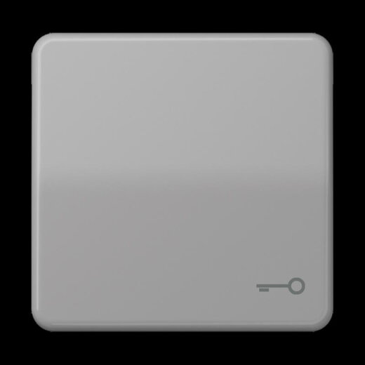 Jung Wippe, Symbol Tür, Duroplast, Serie CD, grau CD590TGR